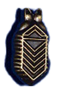 SS Diamond Membership Lapel Pin – Military Collectibles, Inc.